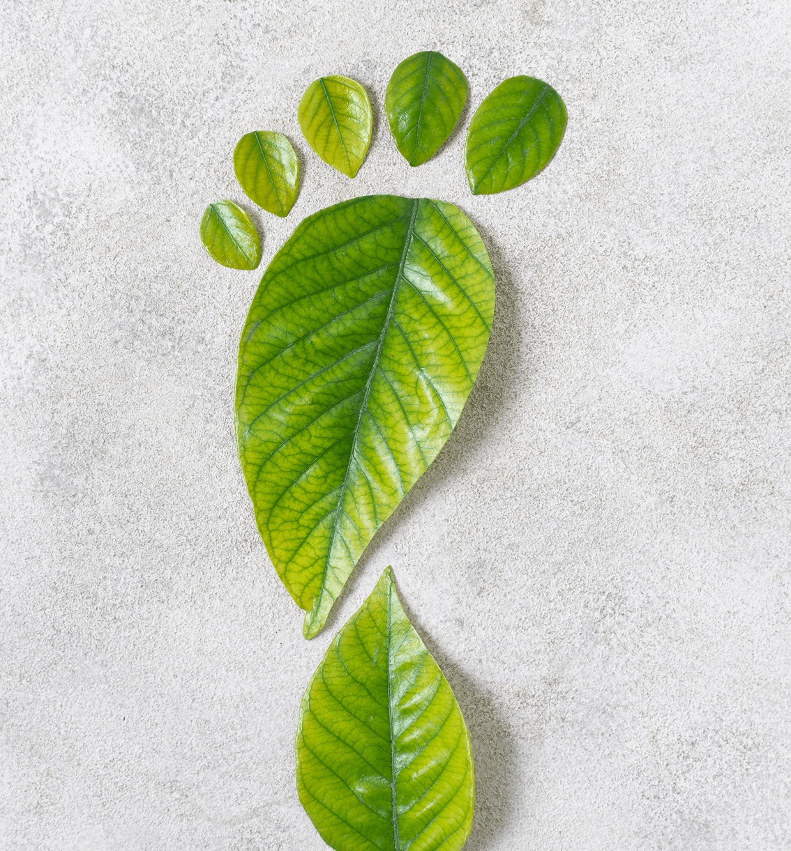 5 Simple Ways to Reduce Your Carbon Footprint